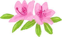 富士本栖湖リゾート(芝桜まつり)のイラスト